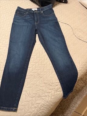 EVERLANE THE HIGH RISE SKINNY JEANS